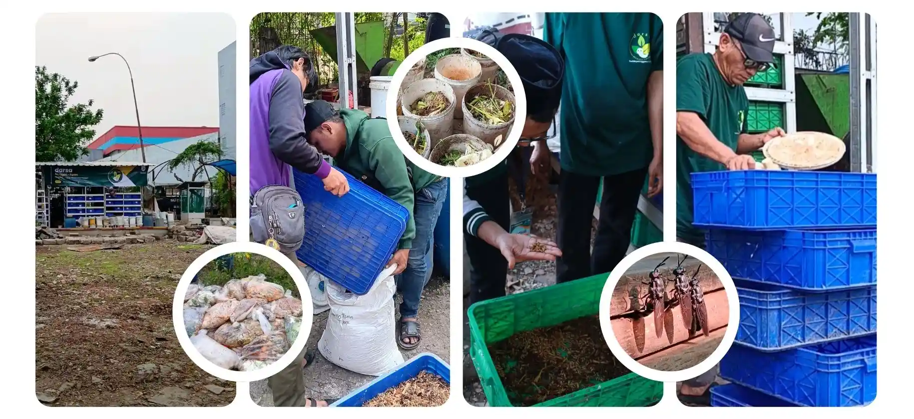 Pasar Kalideres - Pengelolaan sampah organik pasar Area Darsa