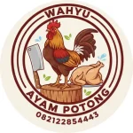 Lapak Ayam Potong Wahyu - Supplier Ayam Segar
